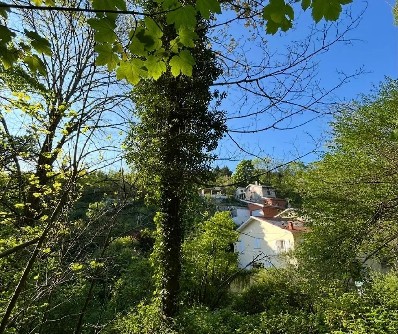 別荘 La Maison Mori ヴィエンヌ フランス